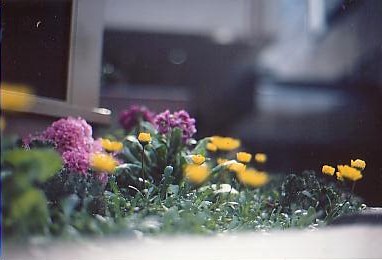 f0121111_2143238.jpg