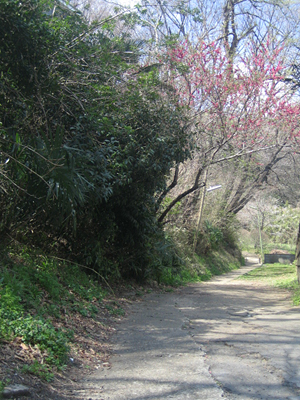 b0087512_13422686.jpg