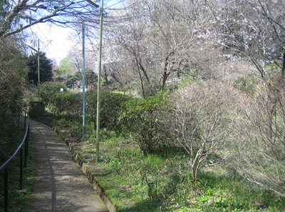 b0087512_13424433.jpg