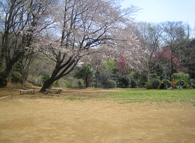 b0087512_13433290.jpg