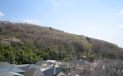 b0087512_1344347.jpg