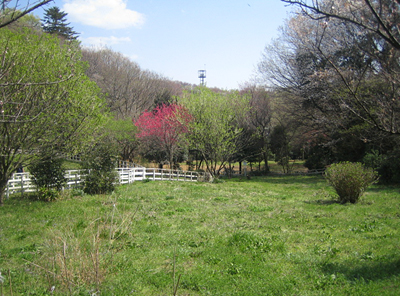 b0087512_1345277.jpg