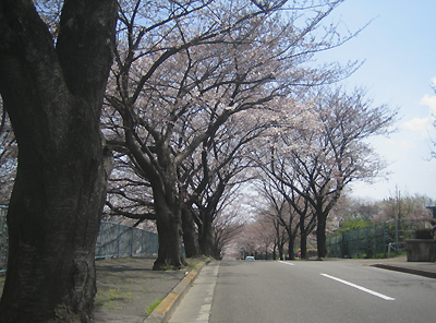 b0087512_1346293.jpg