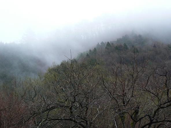 c0086014_2029591.jpg