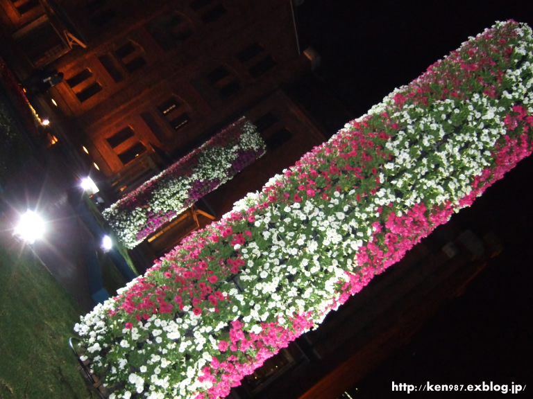 a0070118_14221880.jpg