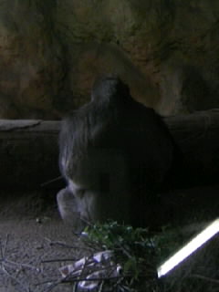 b0102023_21285824.jpg