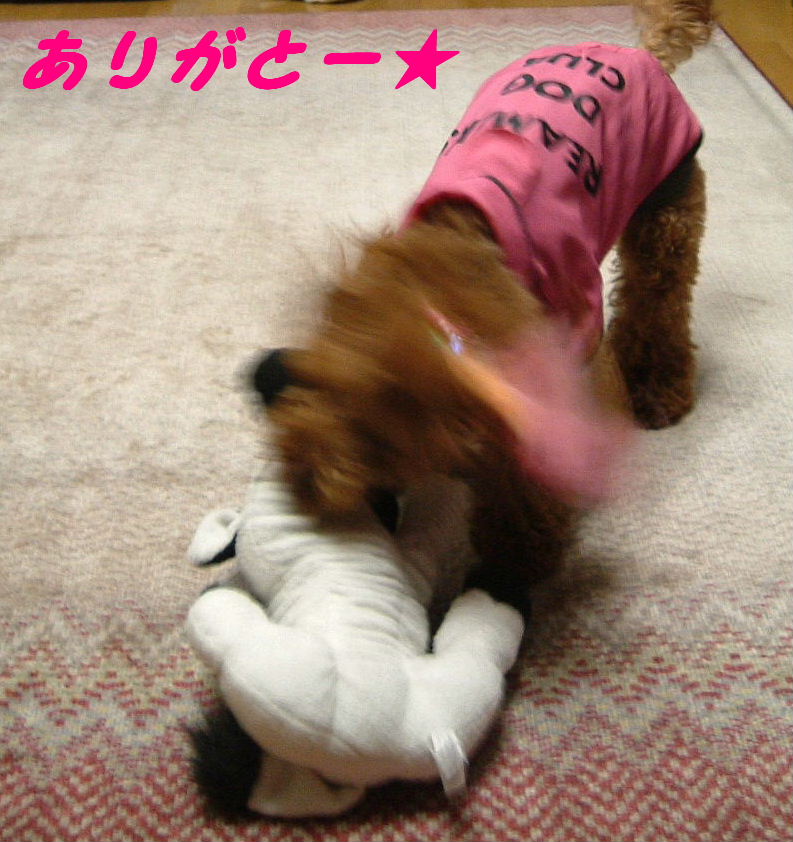 c0114128_9454458.jpg