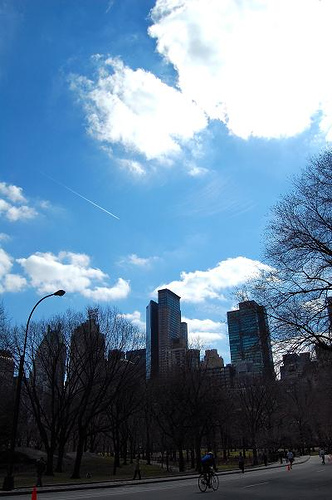 e0036628_7312981.jpg
