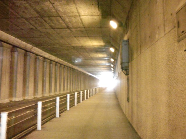 a0020929_12283460.jpg