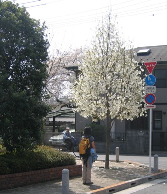 b0077929_8403838.jpg