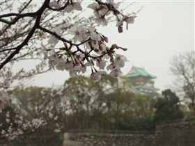 f0028132_10235346.jpg