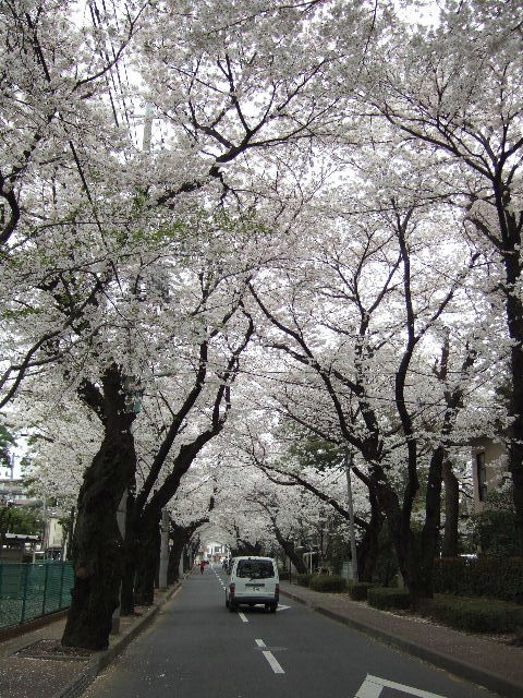 e0064133_03552.jpg