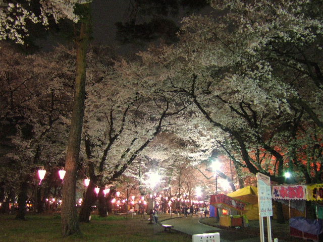 e0064133_0475315.jpg