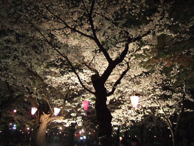 e0064133_0513541.jpg