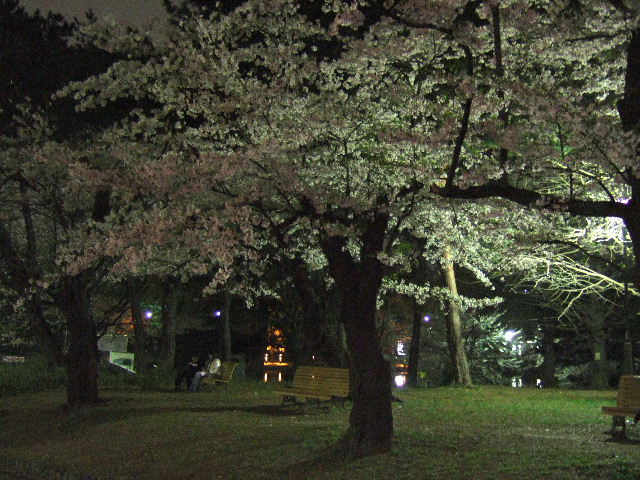 e0064133_0551742.jpg