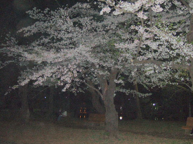 e0064133_055825.jpg