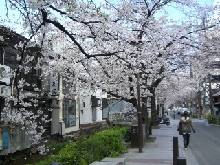 c0090534_23305982.jpg