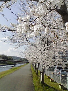 c0100534_17112582.jpg