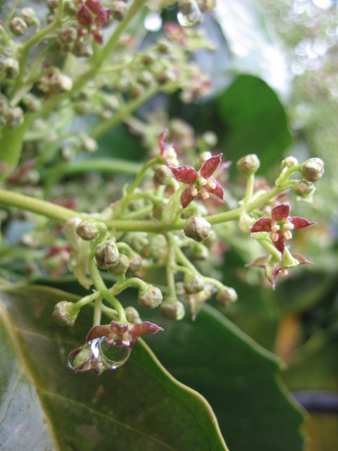 b0088037_201528100.jpg