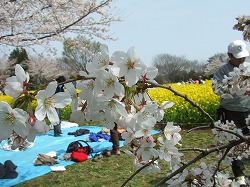 a0046339_0103449.jpg