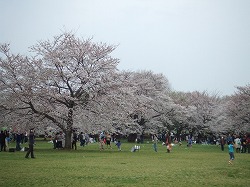 a0046339_0131345.jpg