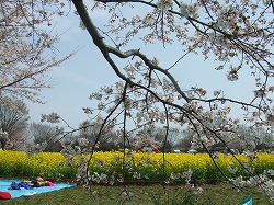 a0046339_081999.jpg