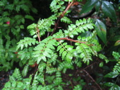 a0068339_14123491.jpg