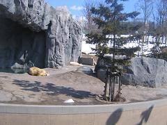 b0024439_20382671.jpg
