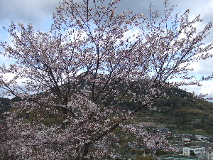 a0054240_22173624.jpg