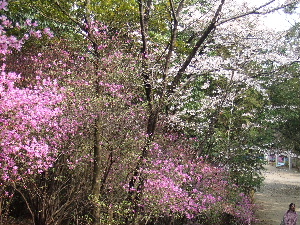 a0054240_22253146.jpg