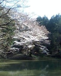 b0039840_0132314.jpg