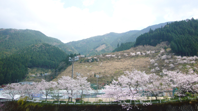 f0123142_13202239.jpg