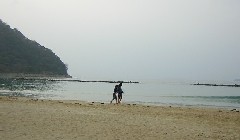 d0021146_021583.jpg