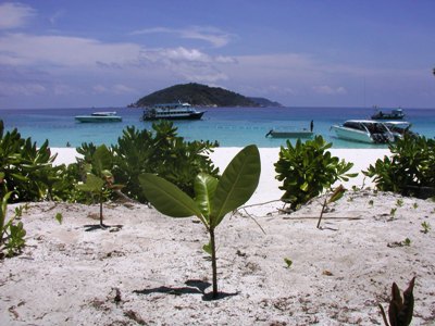 e0027447_2251971.jpg