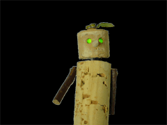 e0005548_1413954.gif