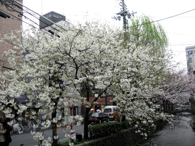 b0009849_100893.jpg