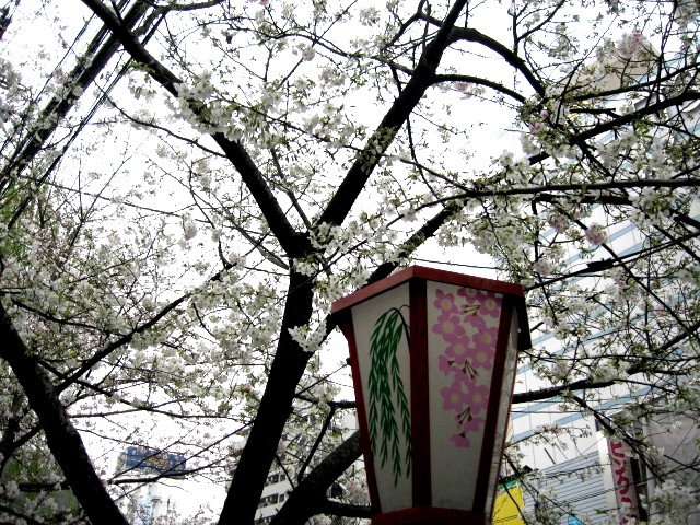 b0009849_105595.jpg
