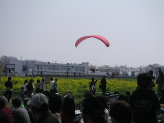 b0019349_0321698.jpg