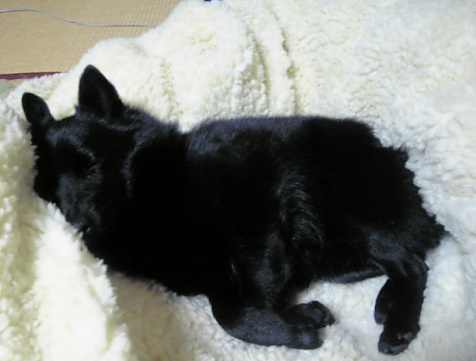 a0009750_1114189.jpg