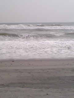 c0016551_062855.jpg