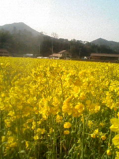 d0009952_21353179.jpg