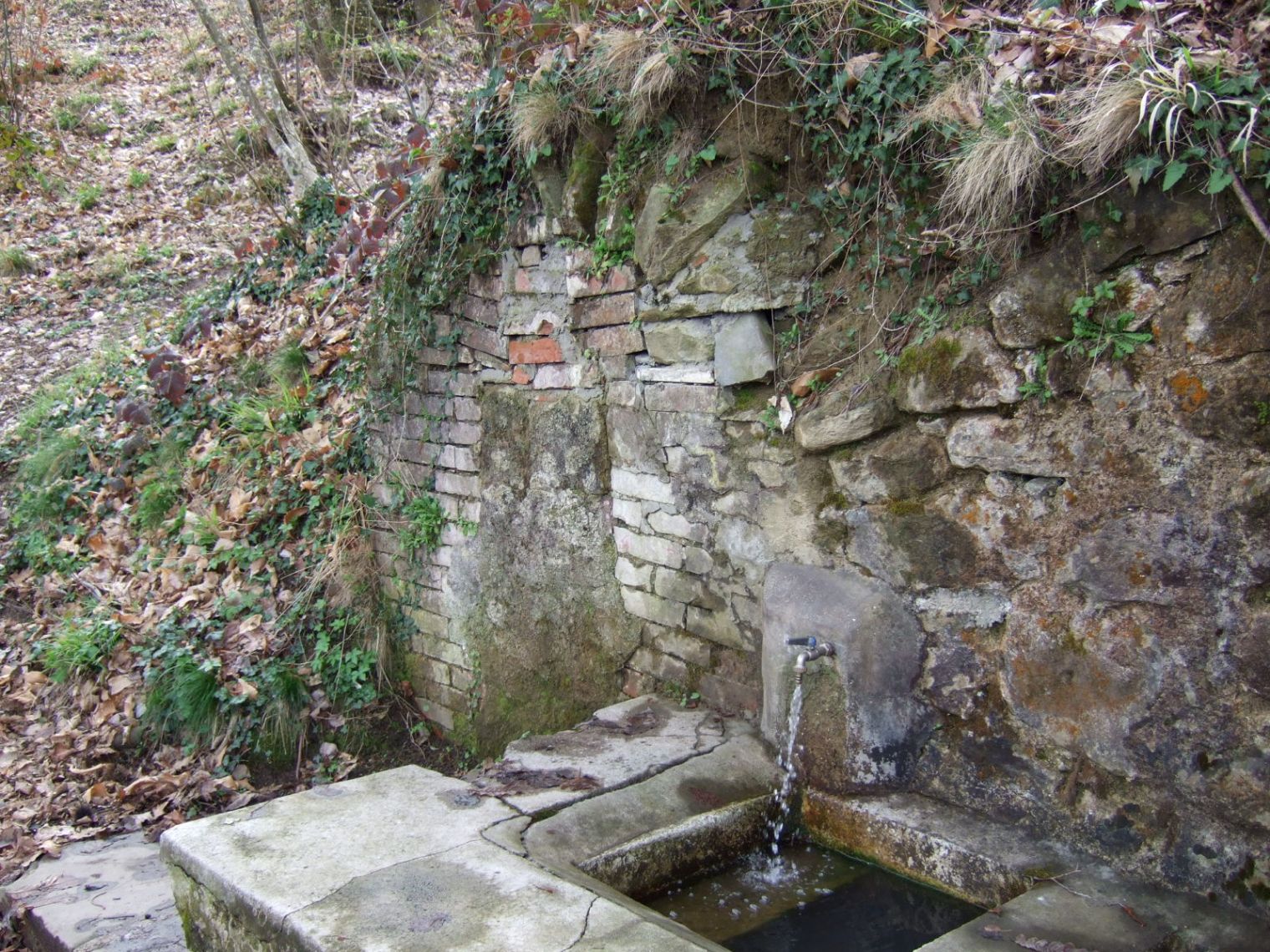 e0104154_7303013.jpg