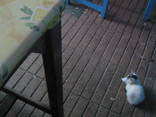 c0030455_901533.jpg