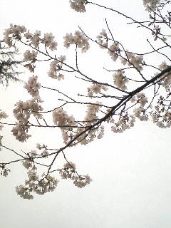 f0104057_23103960.jpg