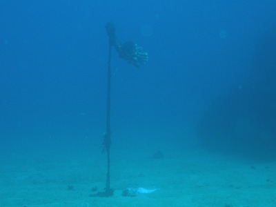 a0079659_814471.jpg