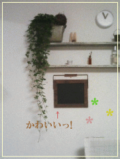 b0087059_1261421.gif