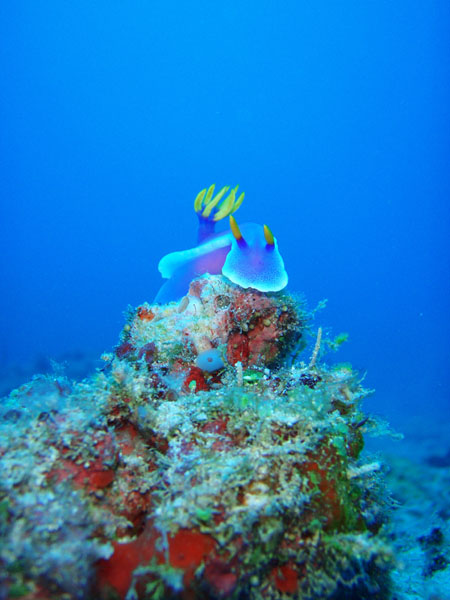 b0062363_1865845.jpg