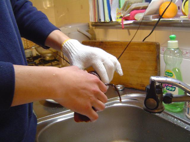 b0024266_14412315.jpg
