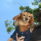 f0089568_22274927.jpg