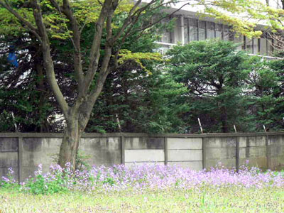 f0086169_8134621.jpg